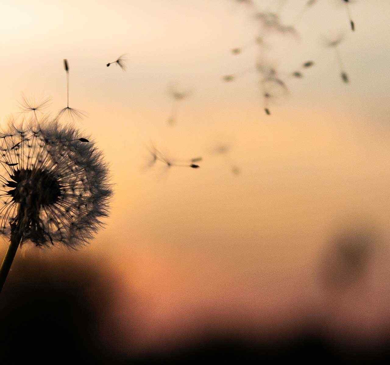 https://vuckovic-law.com/wp-content/uploads/2018/09/post_02-1280x1200.jpg