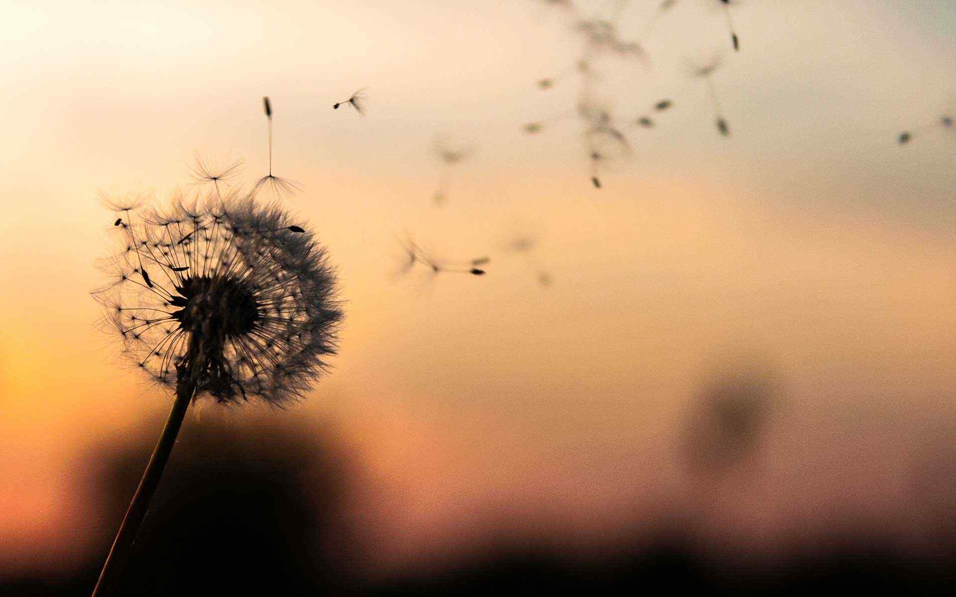 https://vuckovic-law.com/wp-content/uploads/2018/09/post_02.jpg